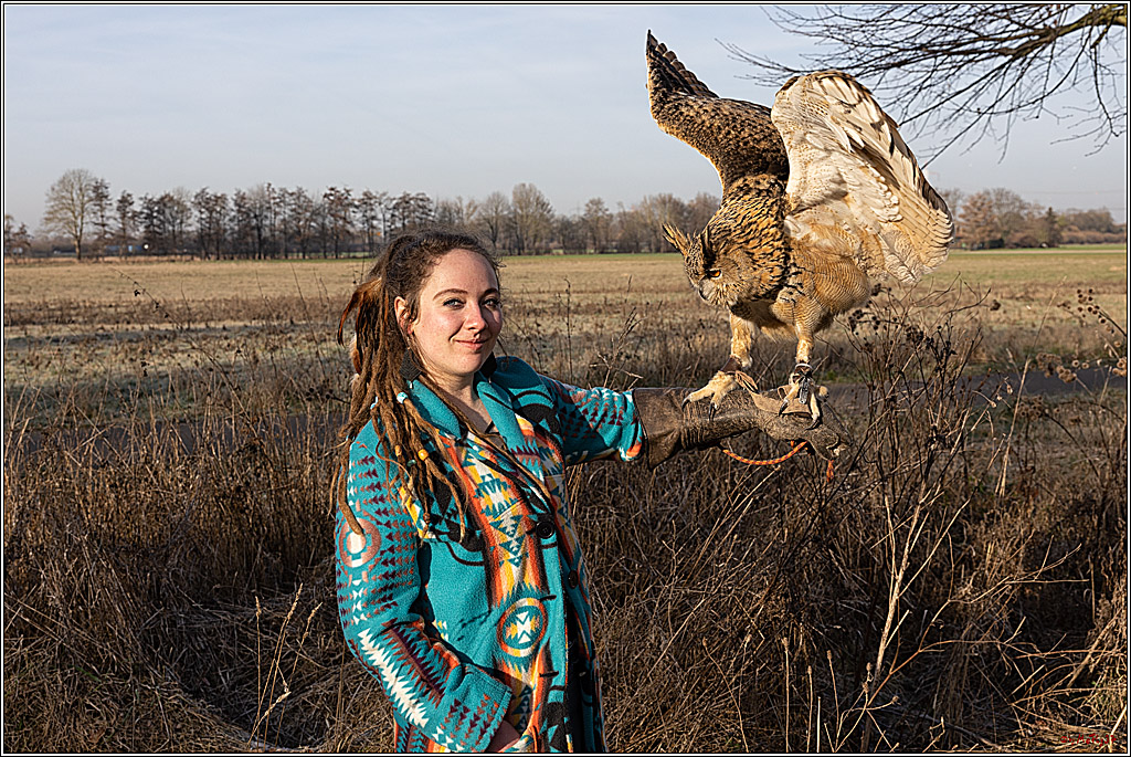 Cheyenne-Halbblut Hunting Wolf in der Falknerei Pierre Schmidt; Gymnich, 09.02.2023